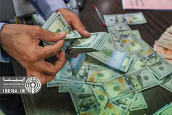 تسهیل سرمایه&zwnj;گذاری ارزی جواب داد