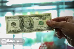 معاملات فردایی زیر تیغ قانون/ مصوبه&zwnj;ای برای جمع شدن بساط دلالی ارز در فضای مجازی