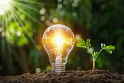 تشکیل بانک اطلاعات تشکل&zwnj;های صادراتی و تجارت خارجی کشاورزی