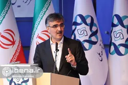 نرخ ارز نیمایی تا یک&zwnj;سال ۲۸ هزار و&zwnj;۵۰۰ تومان خواهد بود