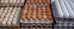 صادرات ۱۵۹ هزارتن تخم مرغ طی سال گذشته