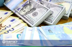 عرضه ۳۹۰ میلیون دلار در سامانه نیما