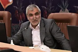 عزم بانک مرکزی برای رفع ناترازی بانک&zwnj;ها اقدام بسیار مثبتی است