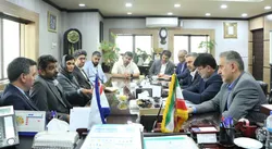 بانک سرمایه در مسیر تأمین مالی ۱۰۰ هزار تاکسی