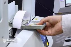 عرضه سنگین ارز در بازار/ ریزش بیشتر قیمت دلار در راه است