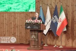 اقدامات نوآورانه بانک مرکزی / ۷۴۰ هزار نفر ارز اربعین دریافت کردند