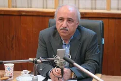 کاهش هزینه&zwnj;های تولید با سیاست تثبیت/ نوسان نرخ ارز محدود شد