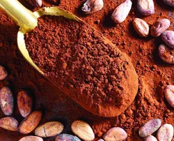 رکورد بالای قیمت جهانی کاکائو