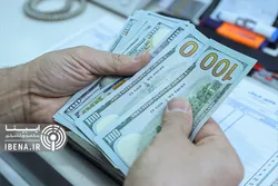 نرخ ارز با کاهش هیجانات به کانال&zwnj;های قبلی باز می&zwnj;گردد/ نقش حیاتی بانک مرکزی در حفظ ثبات بازار&zwnj;ها