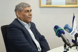 احمد مجتهد: افزایش نرخ ارز سیاسی و هیجانی است