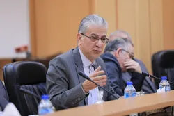 بانک مرکزی نمی&zwnj;تواند در بازار منفعل باشد/ تزریق ارز، بخشی از ابزارهای مدیریت نوسانات است